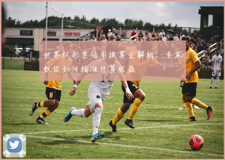 世界杯彩票倍率换算全解析:专家教你如何精准计算收益