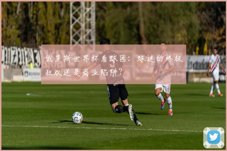 俄罗斯世界杯看球团:球迷的终极狂欢还是商业陷阱?