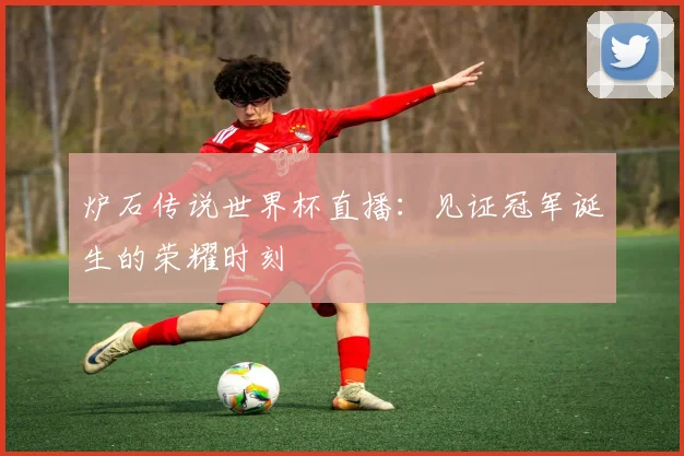 炉石传说世界杯直播：见证冠军诞生的荣耀时刻