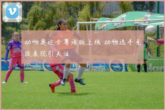 动物奥运会粤语版上线 动物选手竞技表现引关注