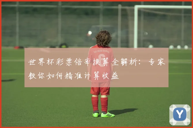 世界杯彩票倍率换算全解析:专家教你如何精准计算收益