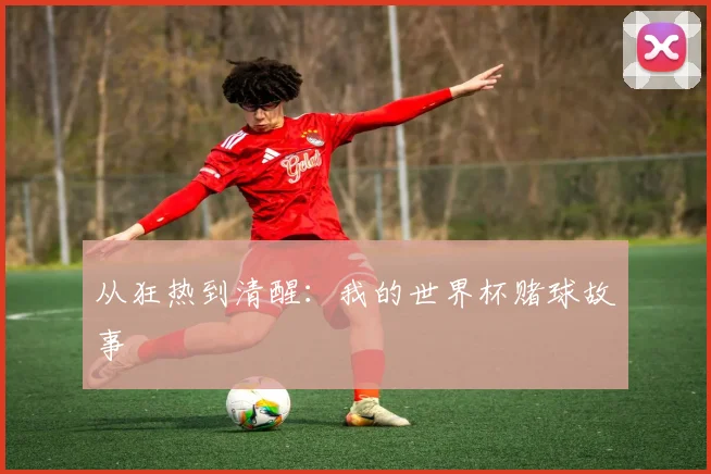 从狂热到清醒:我的世界杯赌球故事