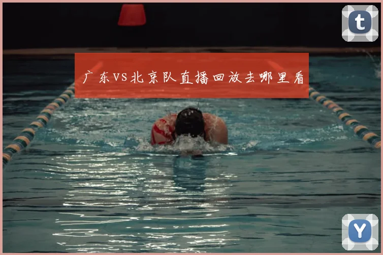 广东vs北京队直播回放去哪里看