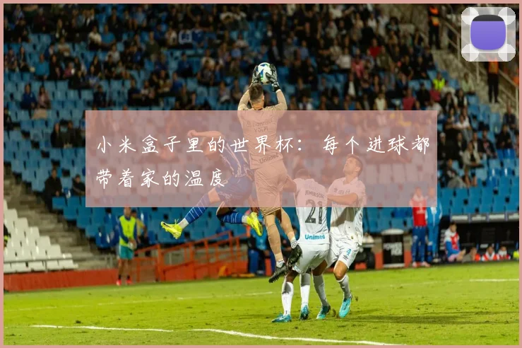 小米盒子里的世界杯：每个进球都带着家的温度
