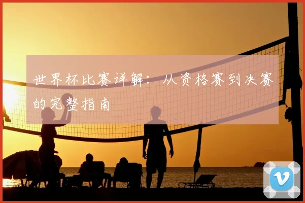 世界杯比赛详解:从资格赛到决赛的完整指南