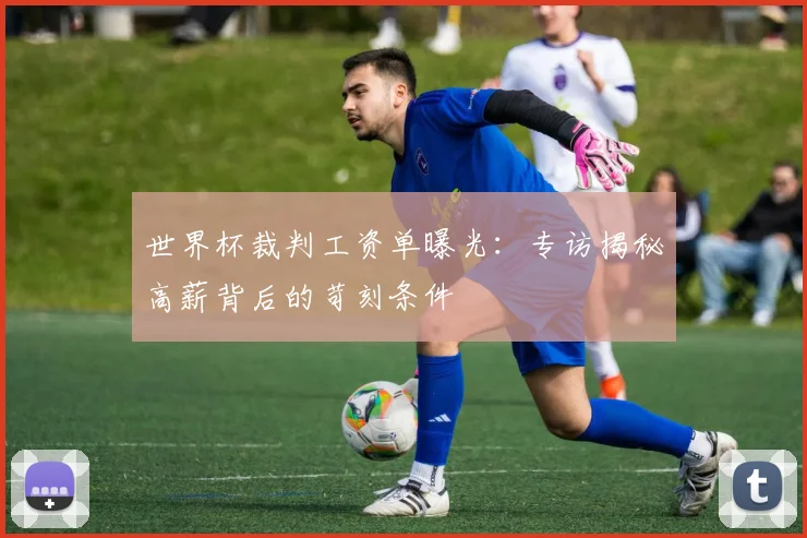 世界杯裁判工资单曝光:专访揭秘高薪背后的苛刻条件